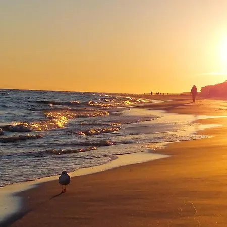 1 Bedroom Amazing In *