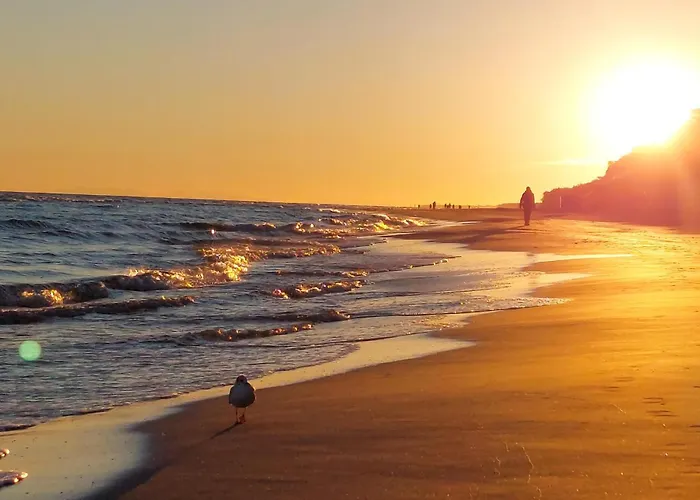 1 Bedroom Amazing In *